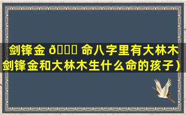 剑锋金 🐒 命八字里有大林木（剑锋金和大林木生什么命的孩子）